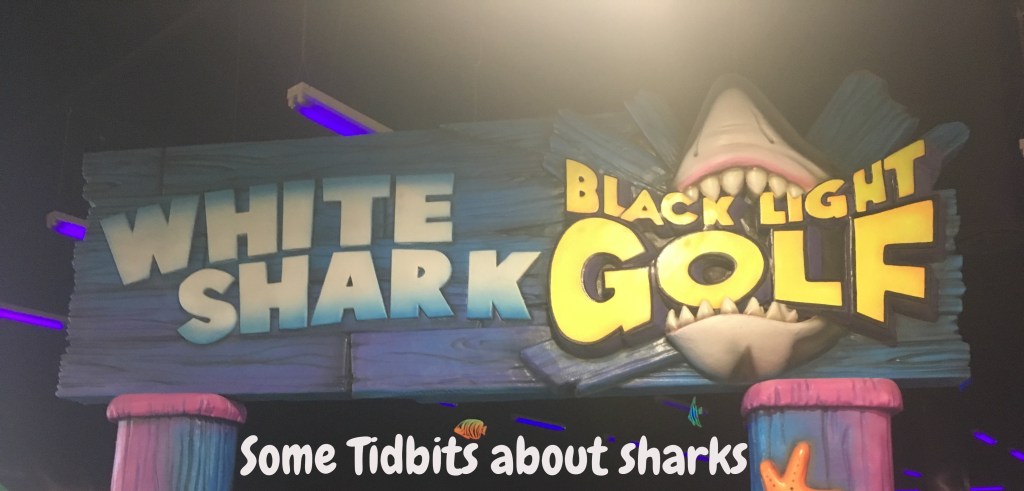 Shark Week Photo