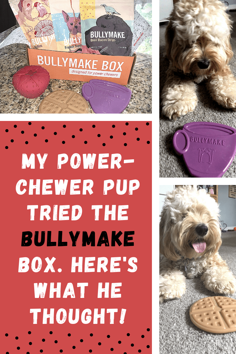 My Power-Chewer Pup Tried the BULLYMAKE Box. Here's What He Thought!